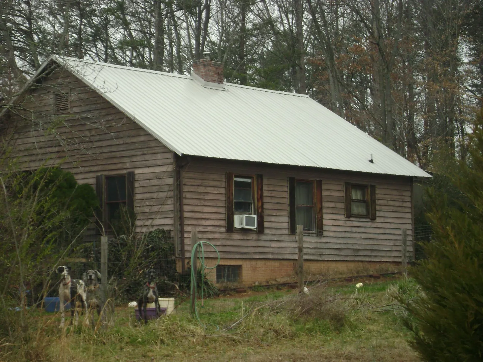 White metal roof on an old wood sided farmhouse, from a Asphalt Shingle Roof Repair job in Dorothy